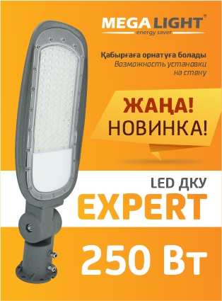 LED ДКУ EXPERT 250W