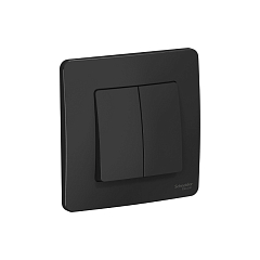 Выкл 2 кл с/у 10А антрацит BLANCA